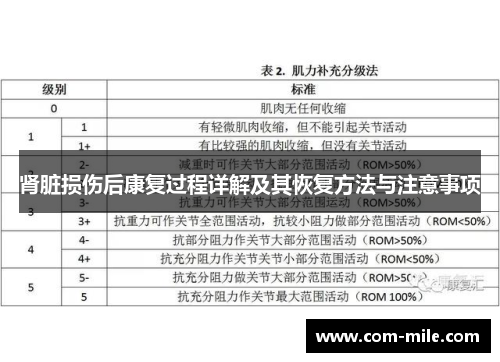 肾脏损伤后康复过程详解及其恢复方法与注意事项