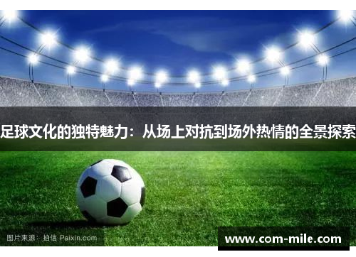 足球文化的独特魅力：从场上对抗到场外热情的全景探索