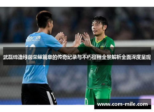 武磊缔造绿茵荣耀篇章的传奇纪录与不朽征程全景解析全面深度呈现