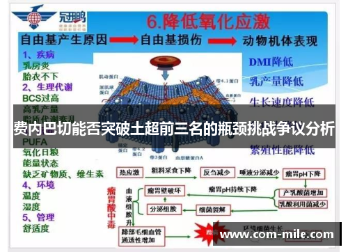 费内巴切能否突破土超前三名的瓶颈挑战争议分析