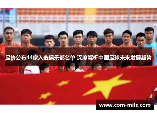 足协公布44家入选俱乐部名单 深度解析中国足球未来发展趋势
