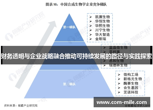财务透明与企业战略融合推动可持续发展的路径与实践探索 财务透明与企业战略融合推动可持续发展的路径与实践探索