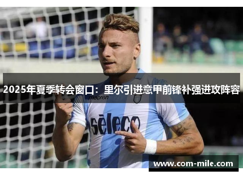 2025年夏季转会窗口:里尔引进意甲前锋补强进攻阵容 2025年夏季转会窗口:里尔引进意甲前锋补强进攻阵容