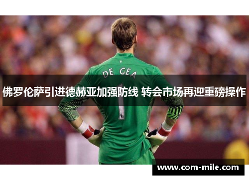 佛罗伦萨引进德赫亚加强防线 转会市场再迎重磅操作