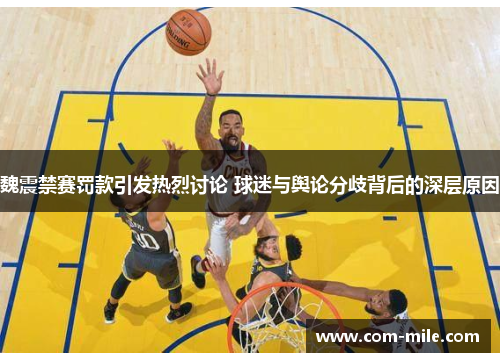 魏震禁赛罚款引发热烈讨论 球迷与舆论分歧背后的深层原因