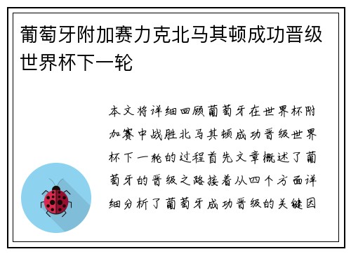 葡萄牙附加赛力克北马其顿成功晋级世界杯下一轮